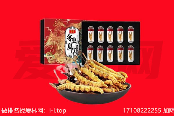 天津蓟州区回收虫草.jpg